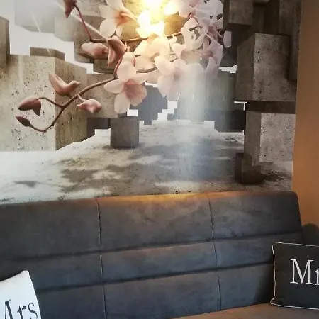 Comfortstudio * 자코파네