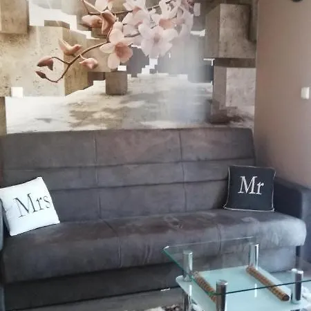 Comfortstudio 자코파네