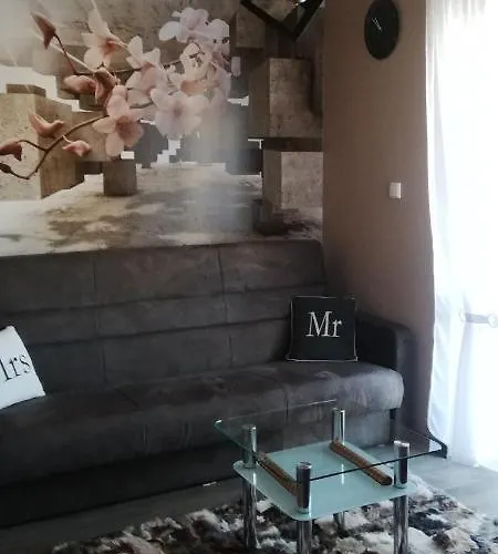 Comfortstudio 扎科帕内